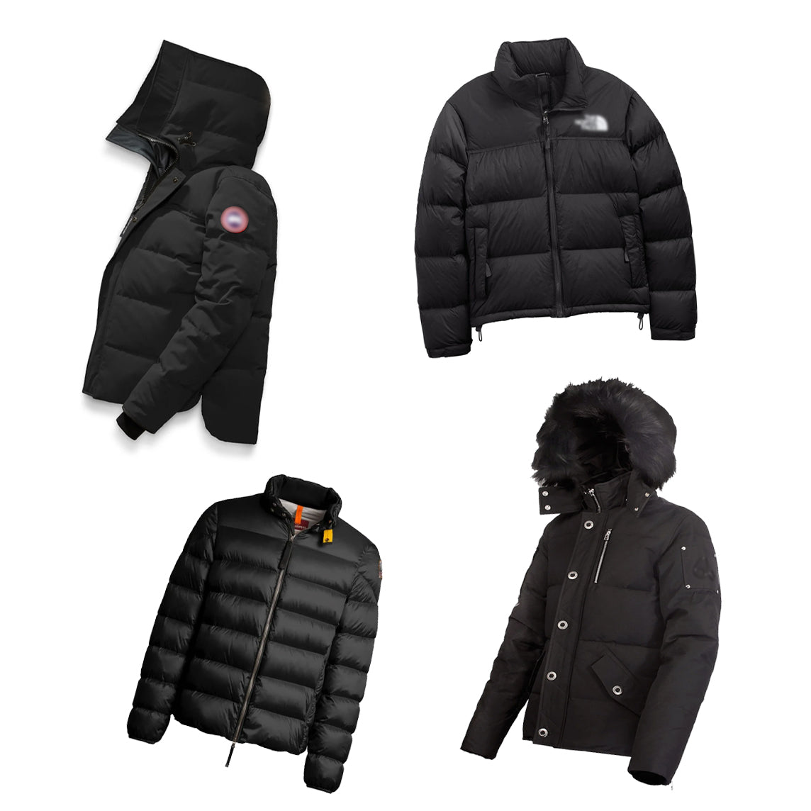Jacket Suppliers